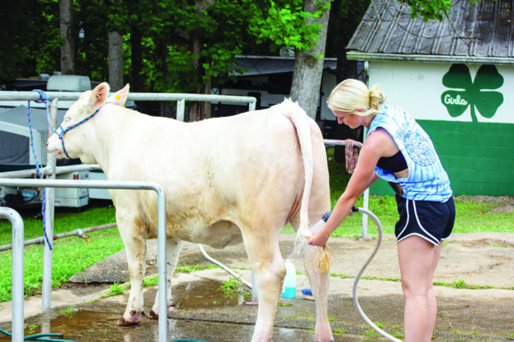 Wood County 4-H and FFA Summer Showcase begins Tuesday